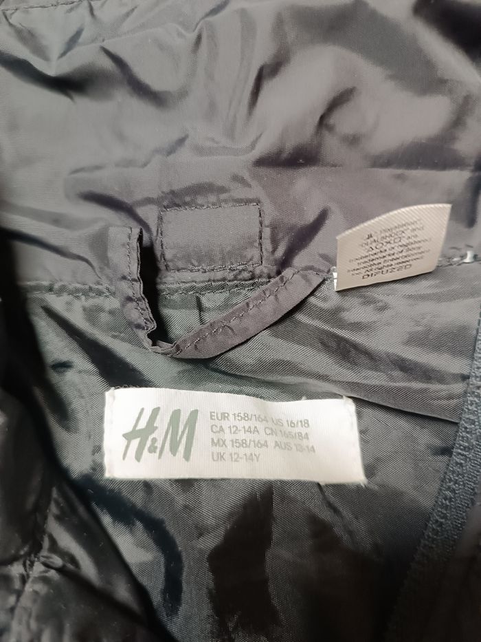 Coupe vent PlayStation - photo numéro 4