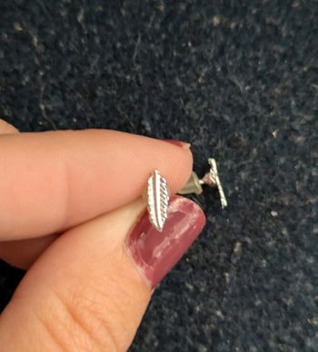 Puces d'oreilles plumes