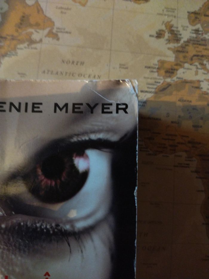 Livre Les âmes vagabondes - photo numéro 2