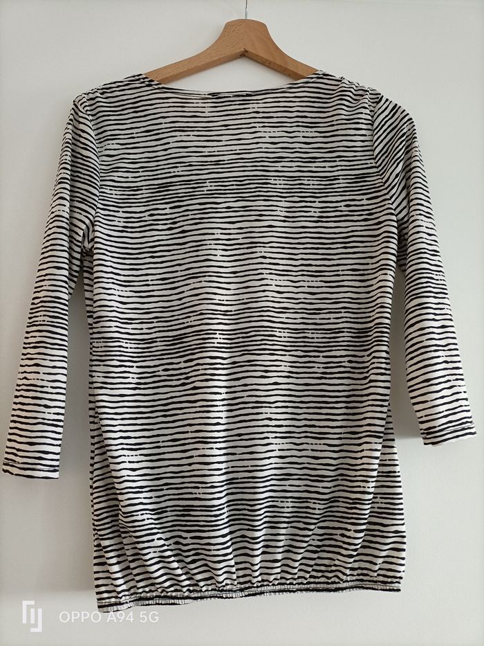 Haut zèbre - photo numéro 2