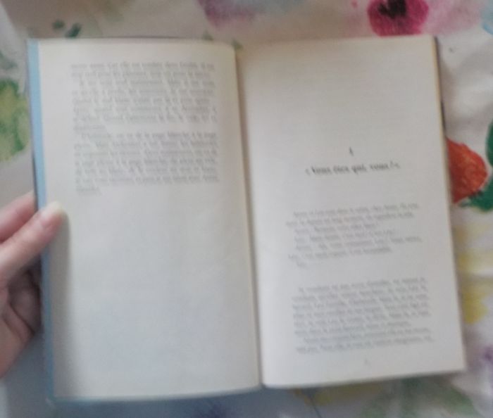 ANNIE, TE SOUVIENS-TU... par Léo BARDON Ed. Succès du Livre - photo numéro 6