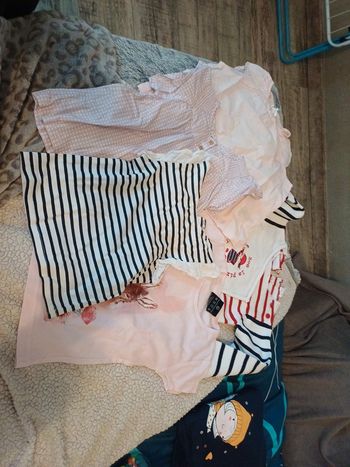 Lot 4 t shirt et 1 pull 24 mois