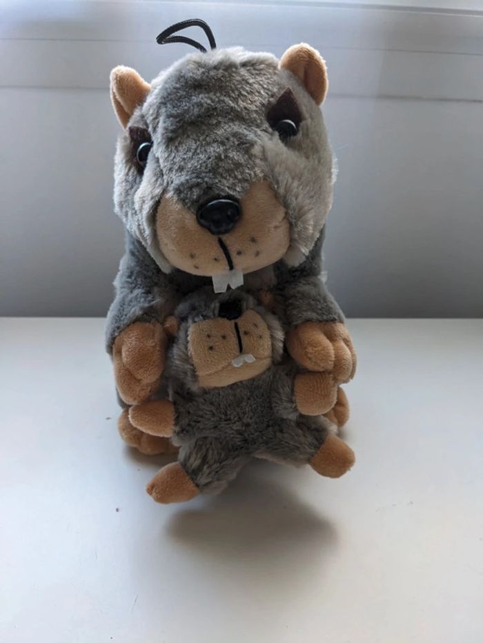 Peluche marmotte