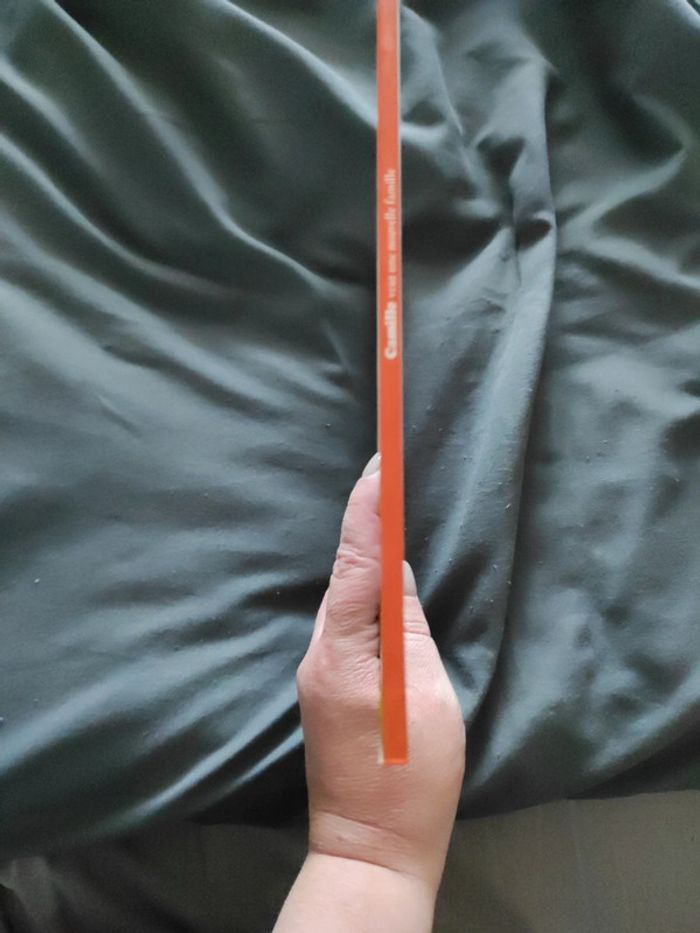 Camille veut une nouvelle famille - photo numéro 3