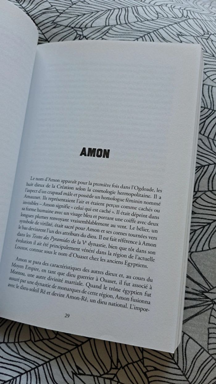Les secrets de l'Égypte ancienne - photo numéro 6