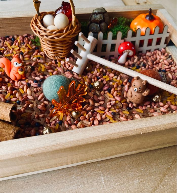 🍂Kit Montessori bac univers sensoriel – Thème Forêt automnale - photo numéro 9