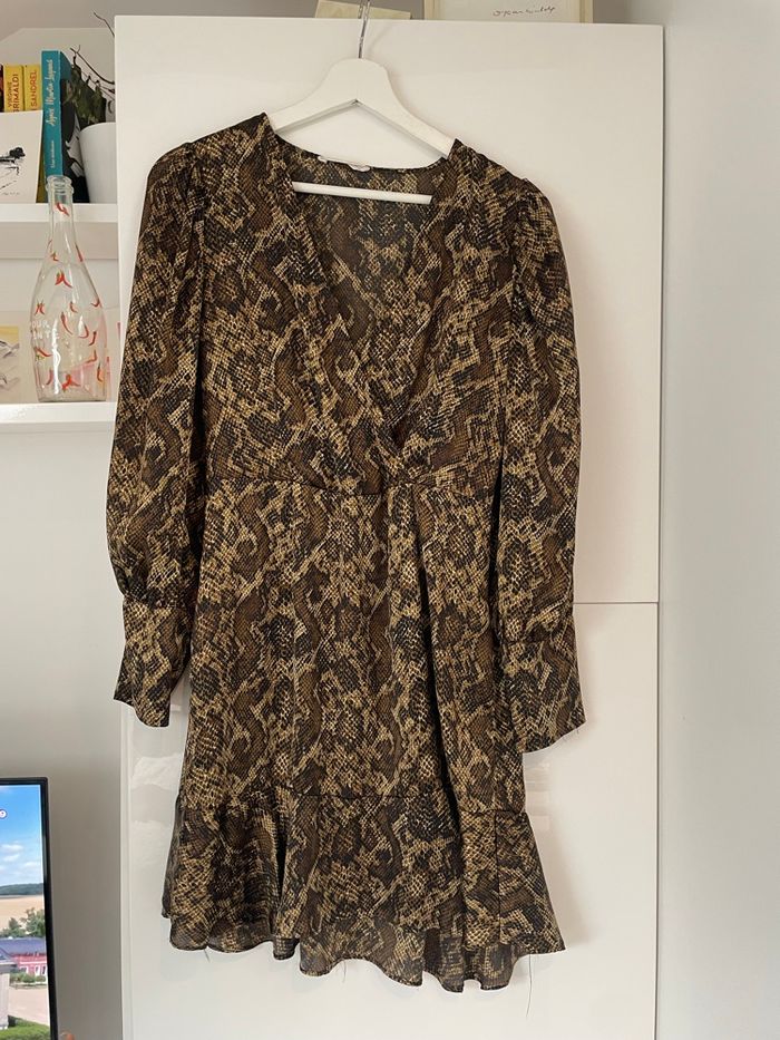 Robe python - photo numéro 2
