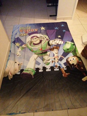 Housse de couette+taie d'oreiller