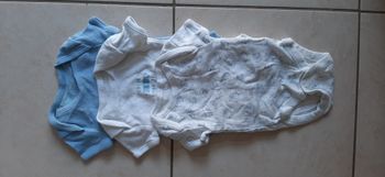 Lot de 3 bodys manches courtes
