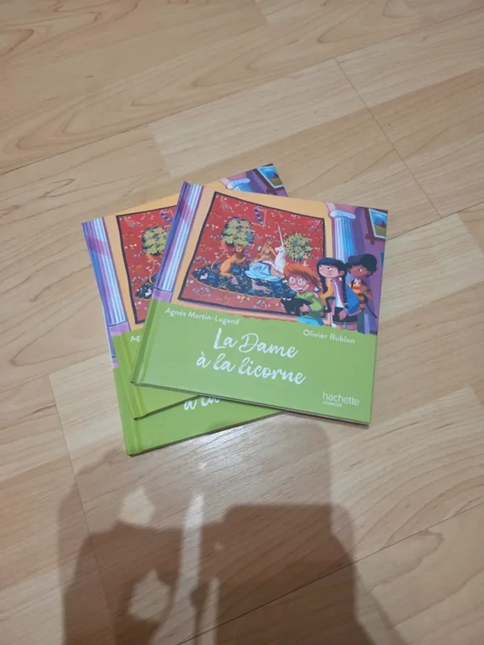 Livre macdo la dame a la licorne 2025