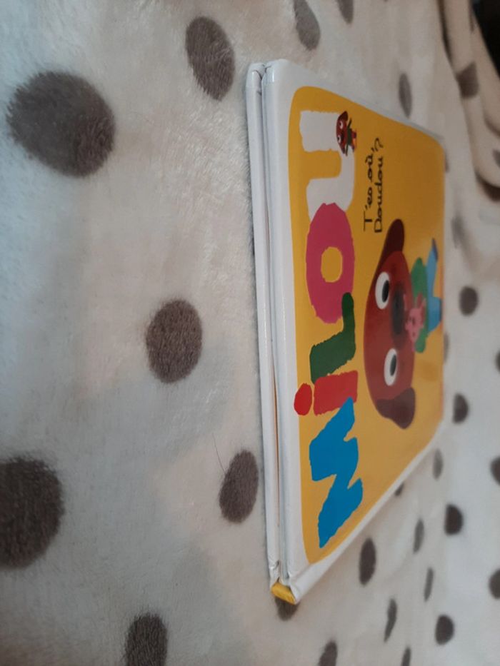 Livre Milou : tu es où doudou? - photo numéro 4