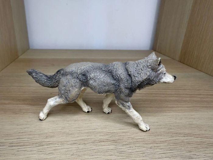 Loup papo - photo numéro 3