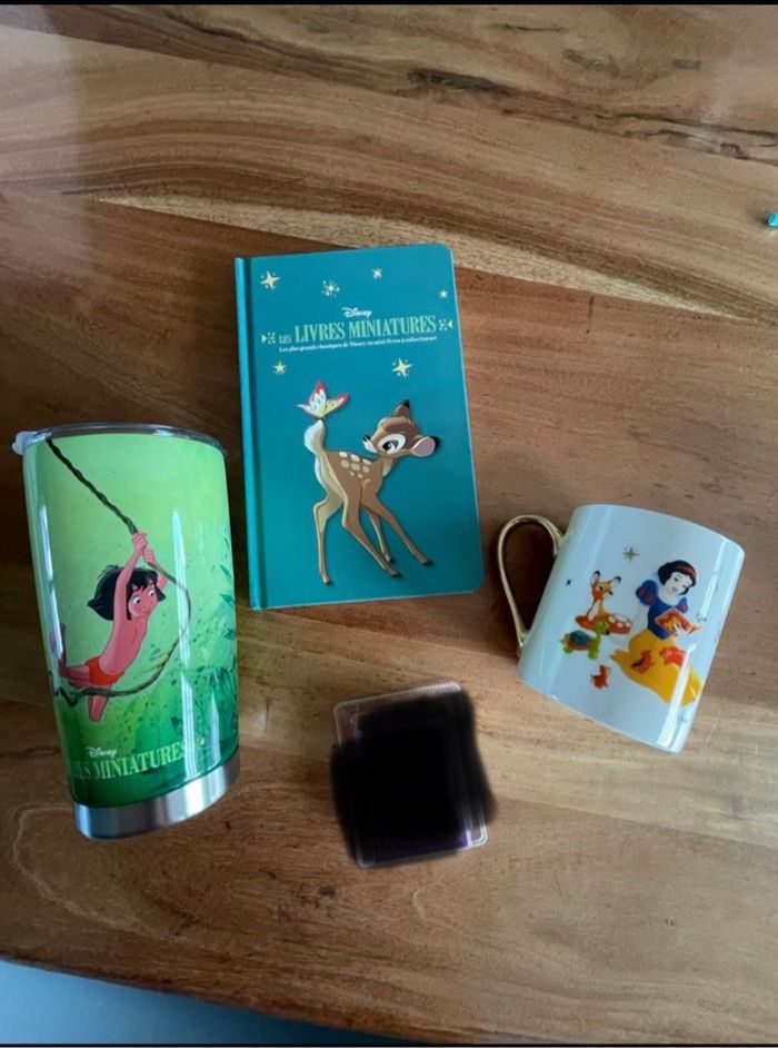Les livres miniatures  Disney