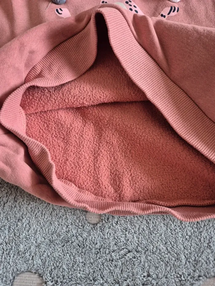 Sweat à capuche 12 ans - photo numéro 3