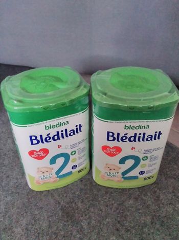 Bledilait 2