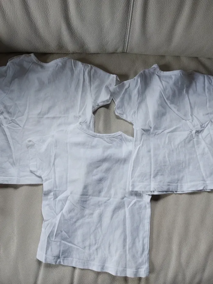 Lot de 3 tee-shirts manches courtes en coton 9 mois - photo numéro 5