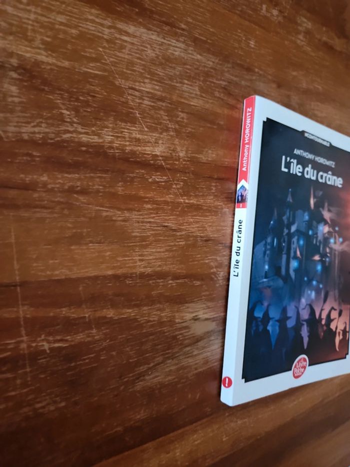 Livre enfant : l'île du crane - photo numéro 2