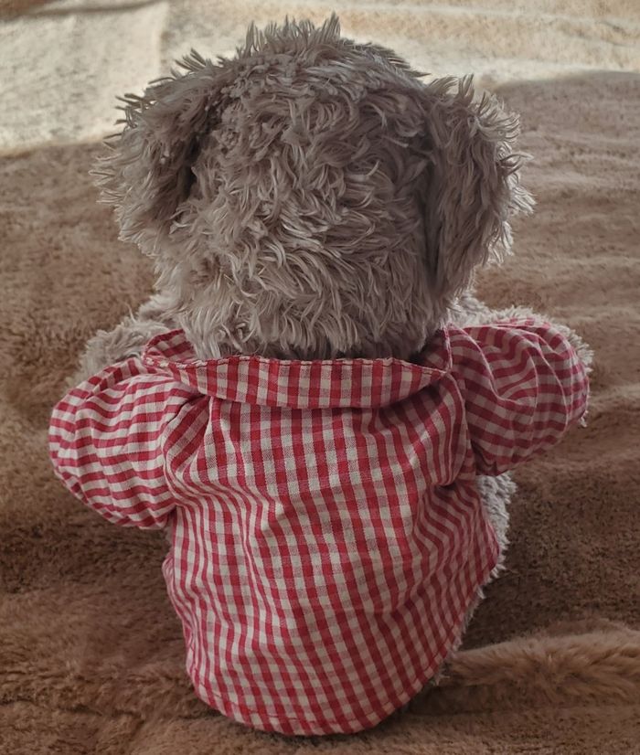 Ours en peluche - photo numéro 2