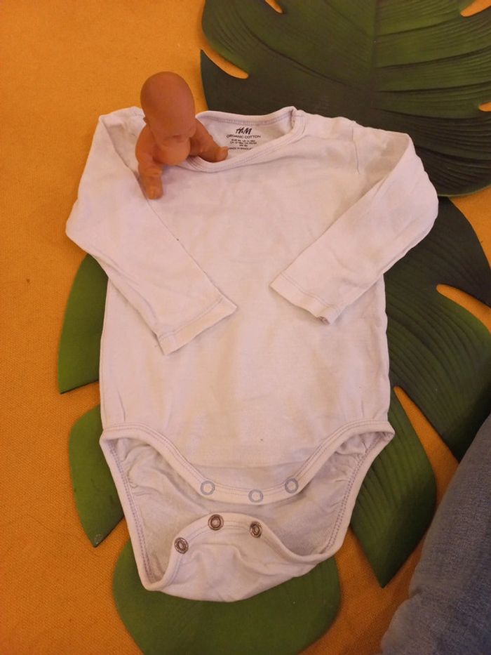 Body 12 a 18 mois coton biologique