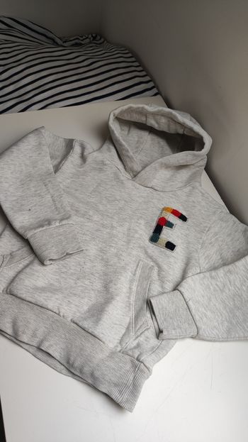 Lots sweat à capuche gris