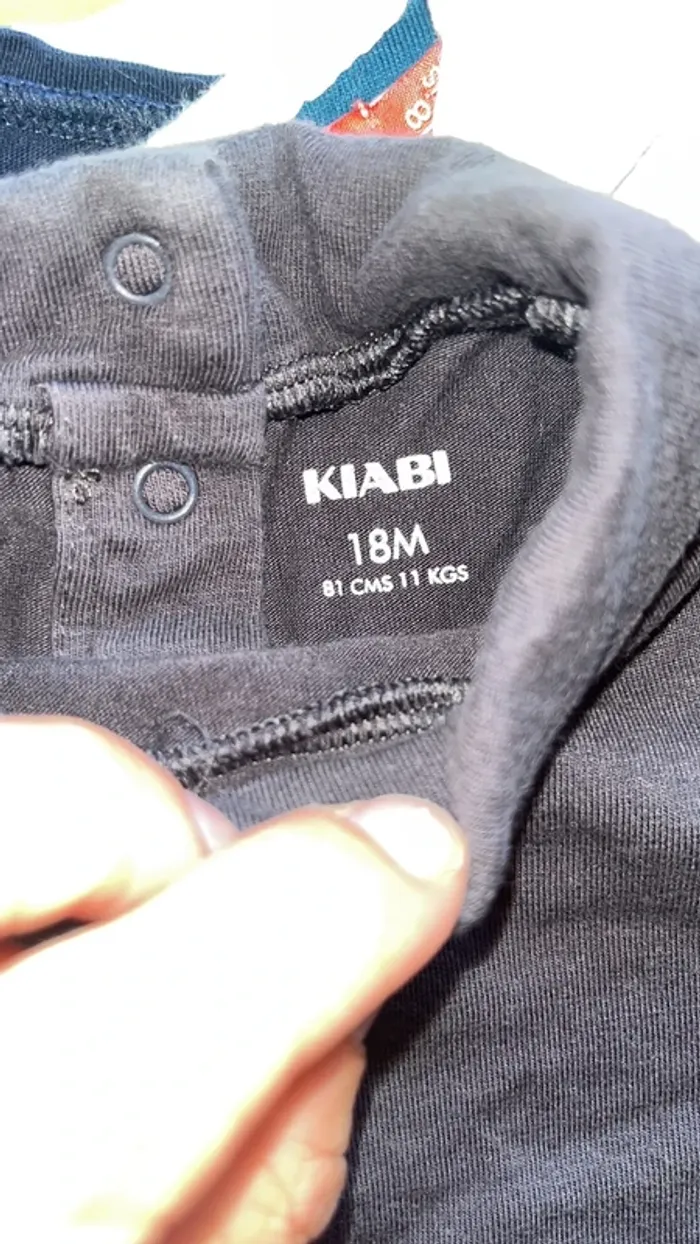 Lot tee-shirts manche longue 18 mois - photo numéro 11