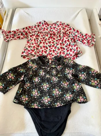 2 blouses bébé fille taille 9mois