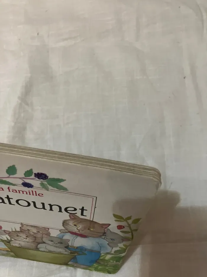 La famille Chatounet – Les premiers livres de bébé - photo numéro 3