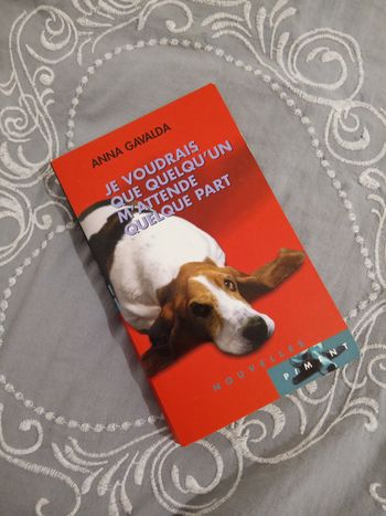 Livre (39) 📚 Je voudrais que quelqu'un m'attende quelque part