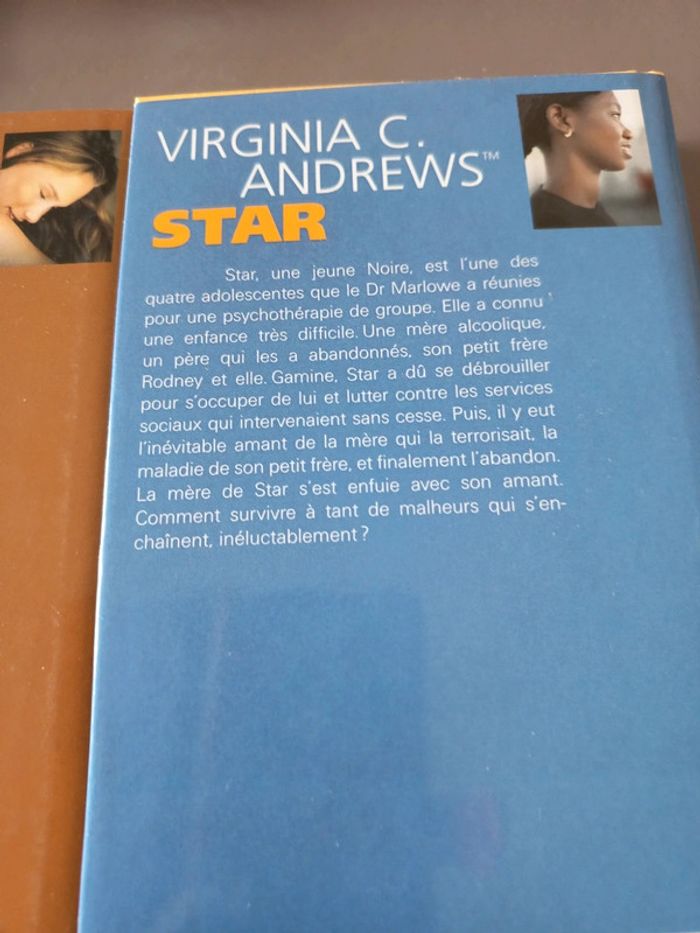 Lot livre Misty,Star,Jade - photo numéro 3