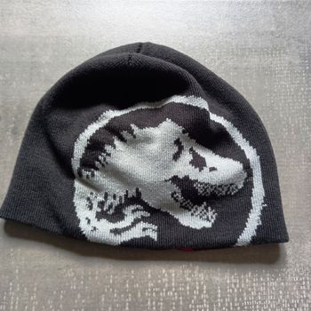 Bonnet hiver dinosaure 5 ans