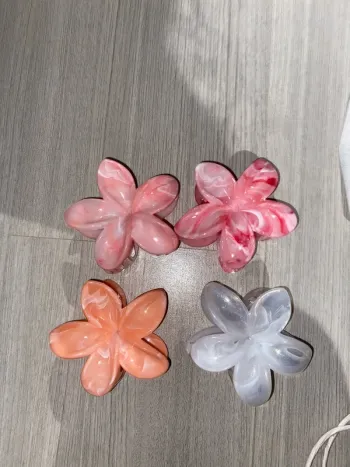 Lot de 4 pinces pour cheveux