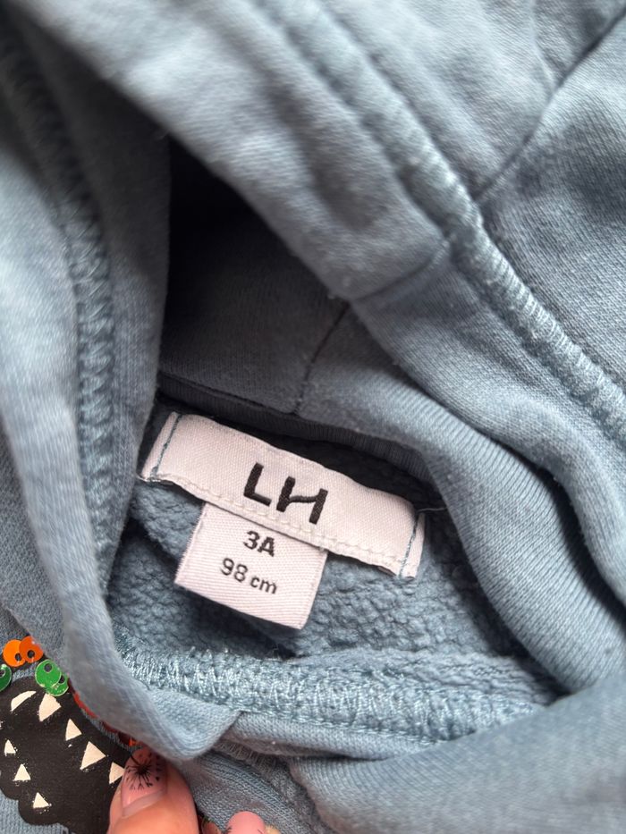 Sweat-shirt à capuche dinosaure - photo numéro 2