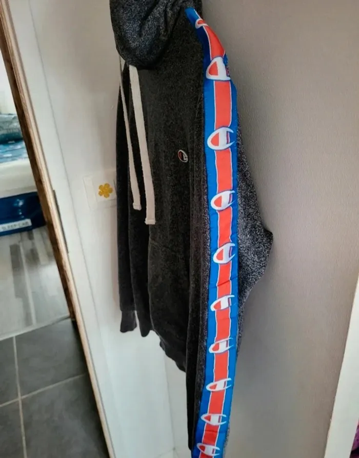 Pull capuche Champion - photo numéro 2