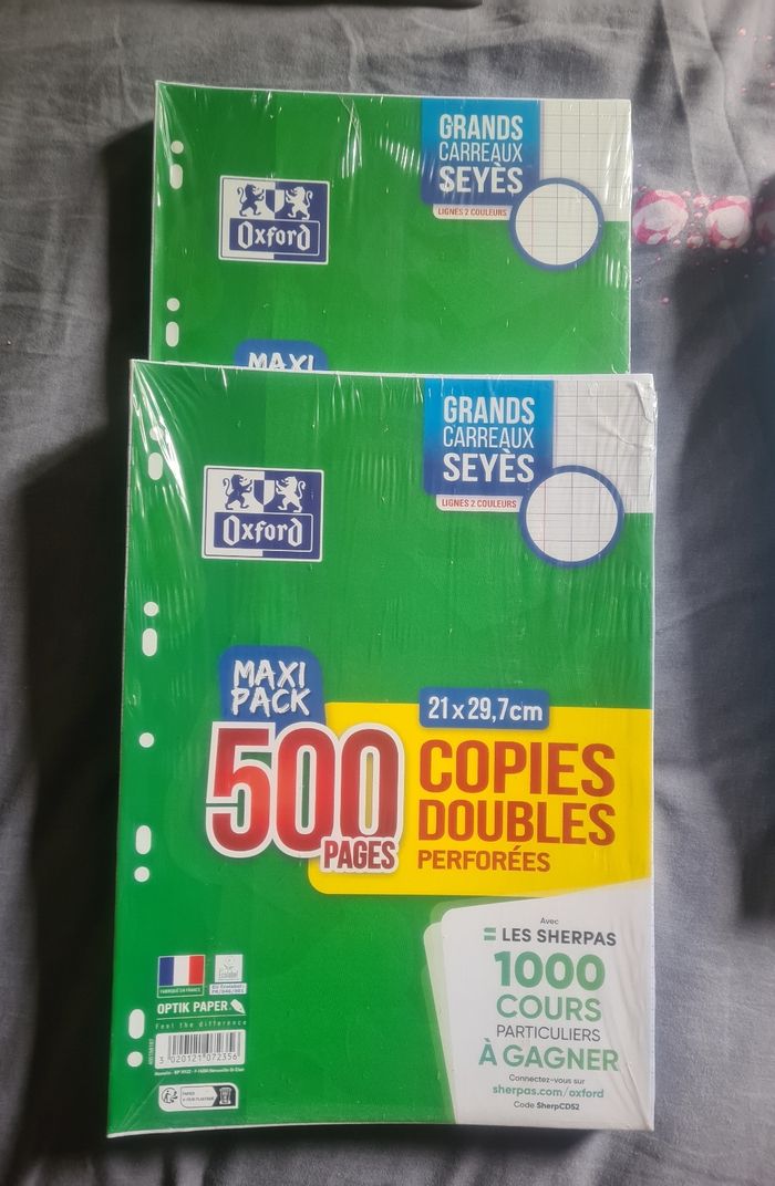 Lot de 2 paquets de 500 copies doubles grands carreaux NEUFS