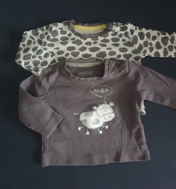 2 t.shirts Ml T.0/1M