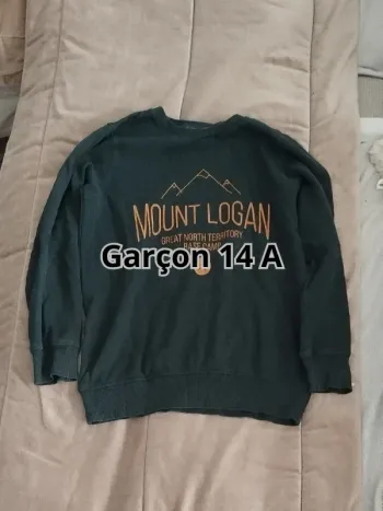 Suite sans capuche la Redoute vert sapin garçon 14 ans