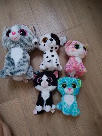 Collection de Chats et chien ty