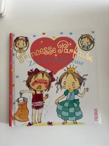 Livre princesse parfaite