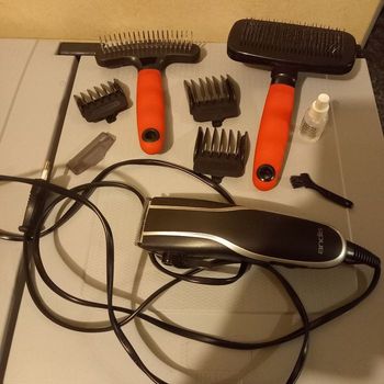 Tondeuse et brosse pour chiens