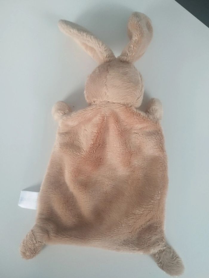 Lapin Empreinte Nicotoy - photo numéro 4