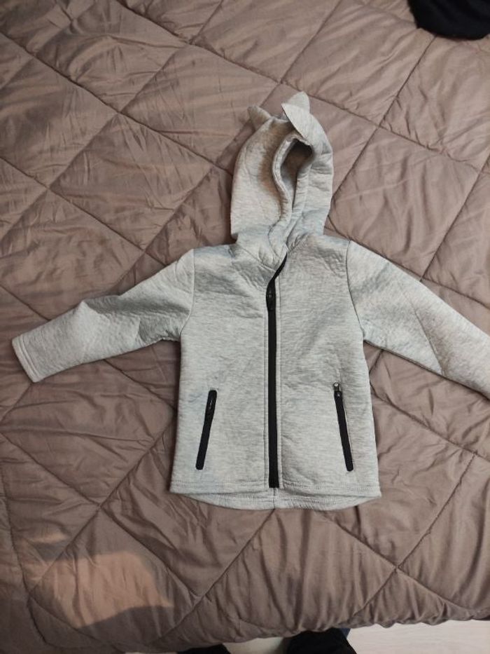 Veste neuve dinosaure