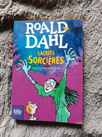 Livre poche sacrées sorcières