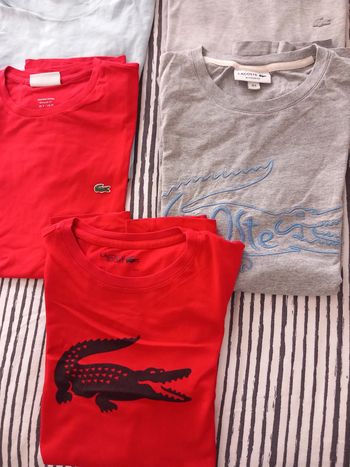 Tee shirt Lacoste homme