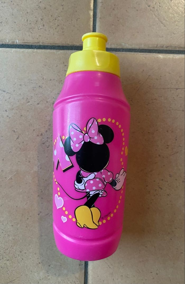 Gourde Minnie - photo numéro 2