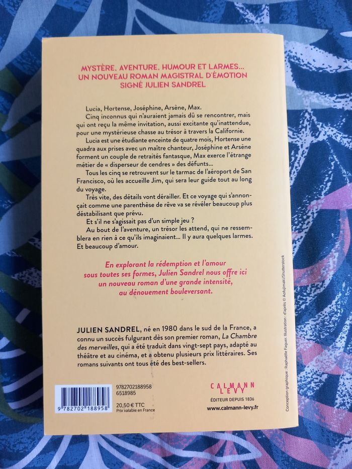 Julien Sandrel - Beaucoup de cendres et d'amour - photo numéro 3