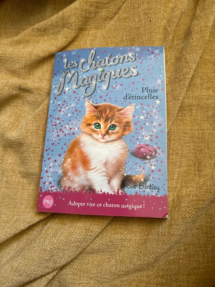 Les chaton magique