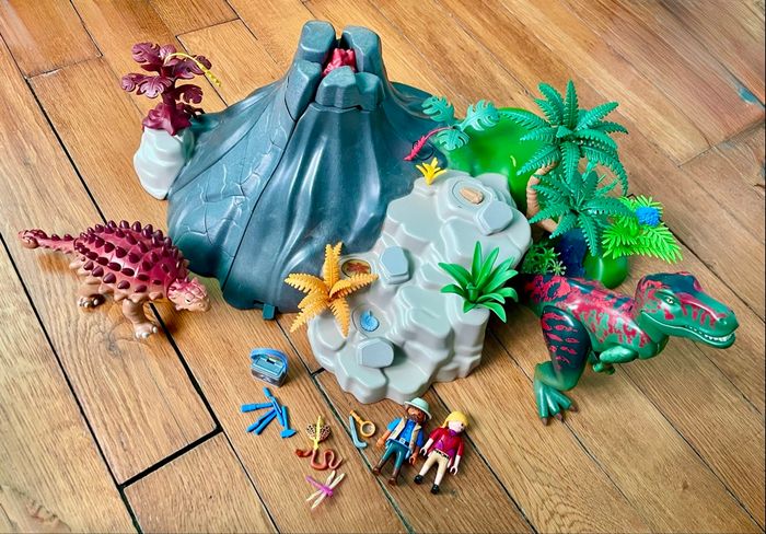 Playmobil 5230 (Tyrannosaure et Saichania)