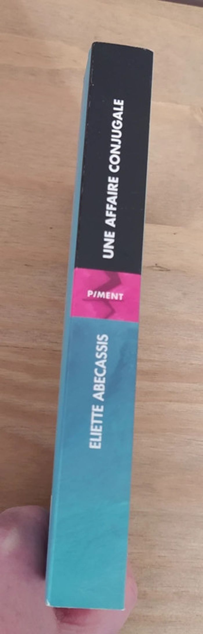 Livre : Une affaire conjugale - photo numéro 3