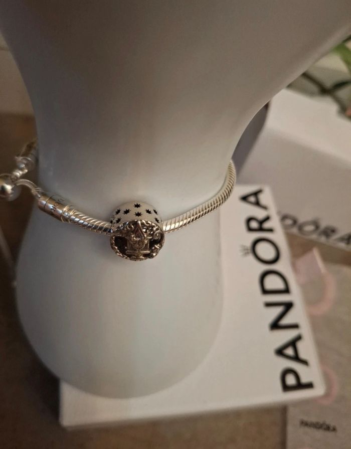 Charm carosse de cendrillon - photo numéro 5