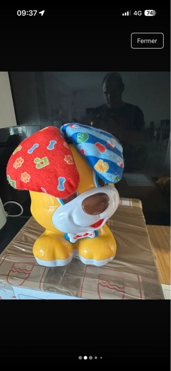 Chien qui joue a coucou